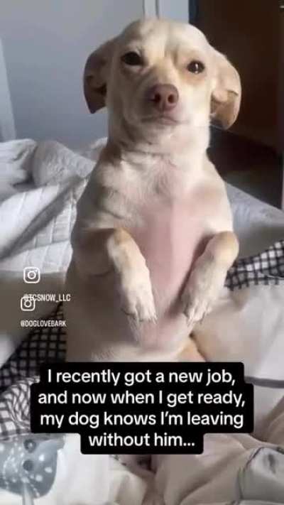 Enough to make a grown man cry 😭