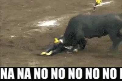 You can almost pinpoint his mid-air reckoning of reality setting in