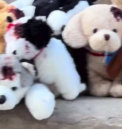 A memorial for Kristi Noem’s dog has been erected in Chicago.