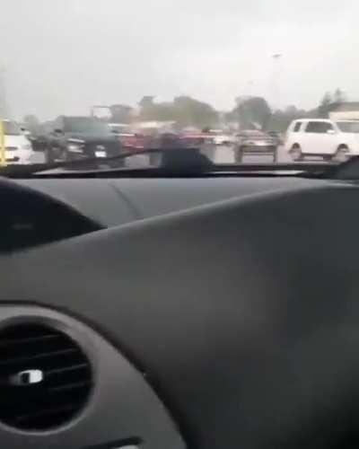 A revolta dos carinhos 🛒