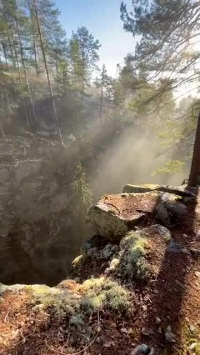 🔥 Norwegian woods