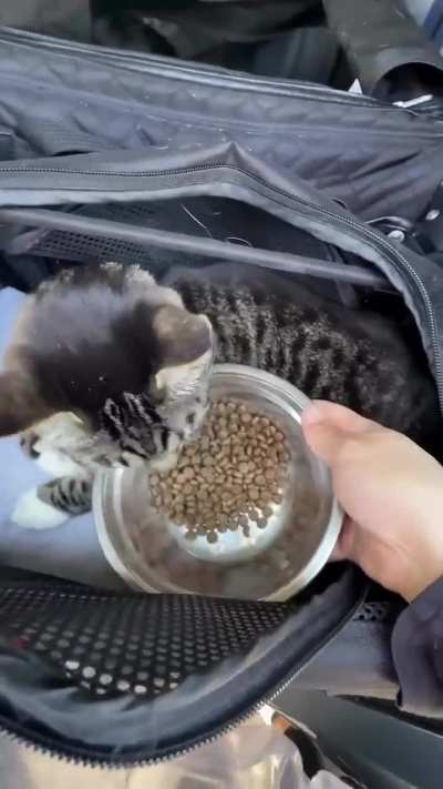 Fastest Video on Ig of Layloolaaaaaa moving out of her house.