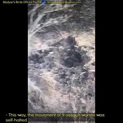 Madyar - UA drone recon. Observing ru friendly fire and efficiently destroying their assault group with the help of the 45th separate artillery brigade. PART 2. 21 Jan. Subtitled