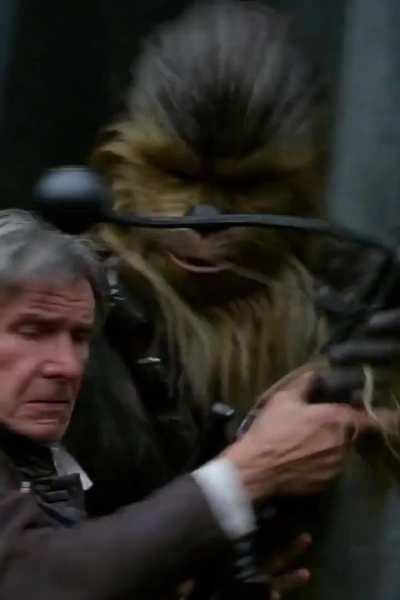 Do not underestimate the power of the Dog Side!