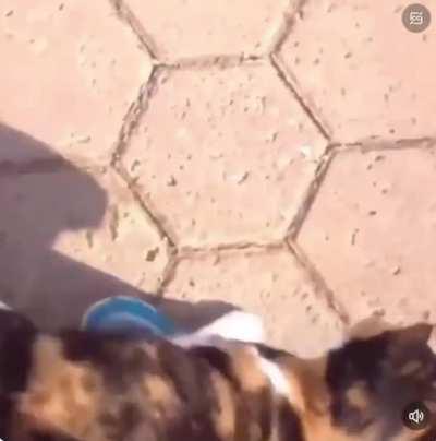 When you haven’t seen your friend in awhile.