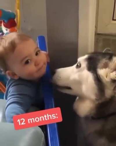 Dogs really are our life long companions !