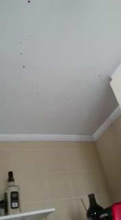 Vocês gostam de açaí?