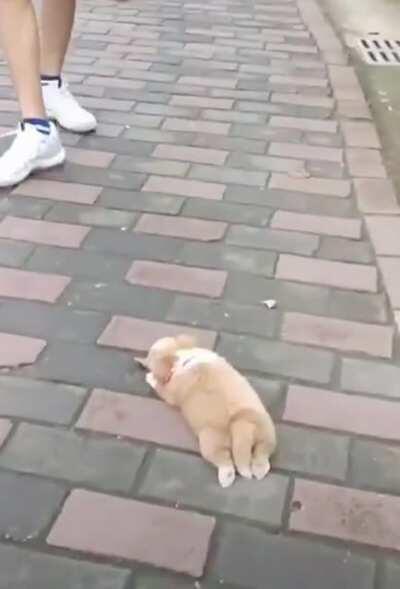 I'm not following you, I just want my leaf