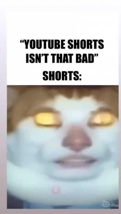 Your shorts are:damn good