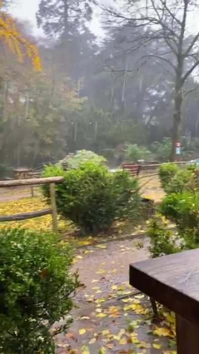 Scorton UK yesterday.