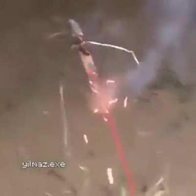 Roger roach adventures