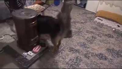 Teröristin yakalandığı operasyondan görüntüler