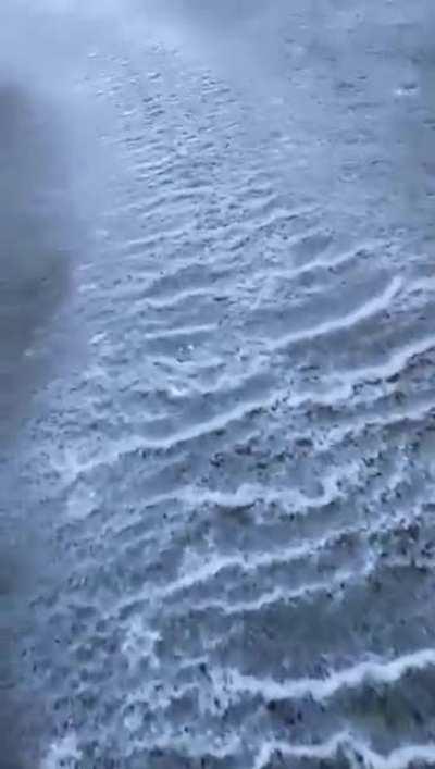 What happens when you leave the sprinklers open overnight on a golf course (Waterkloof GC, PTA)