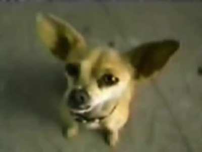 blursed_advertisement