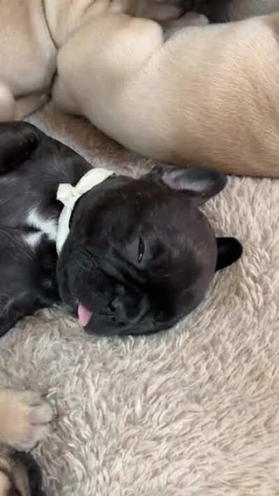 It’s nap time for our little sweethearts!