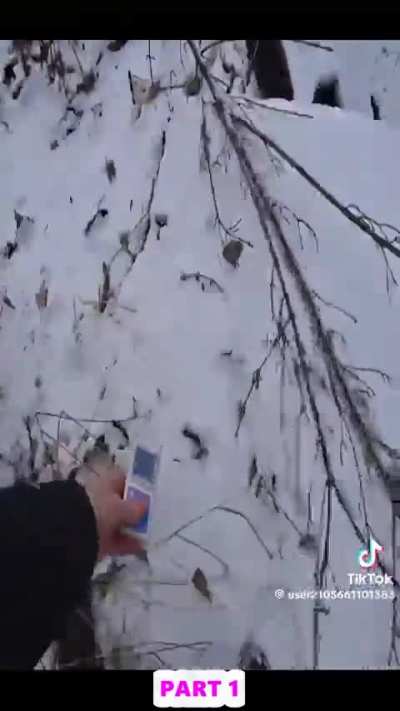 Does anybody happen to know which reactors turbines these are?