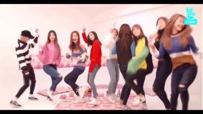 TWICE celebrating Mina's birthday at the dorm due to quarantine.