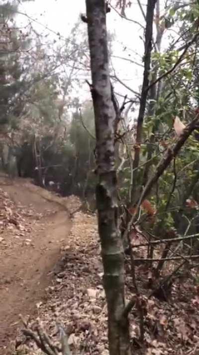 What could go wrong riding your bike in the woods PT 2