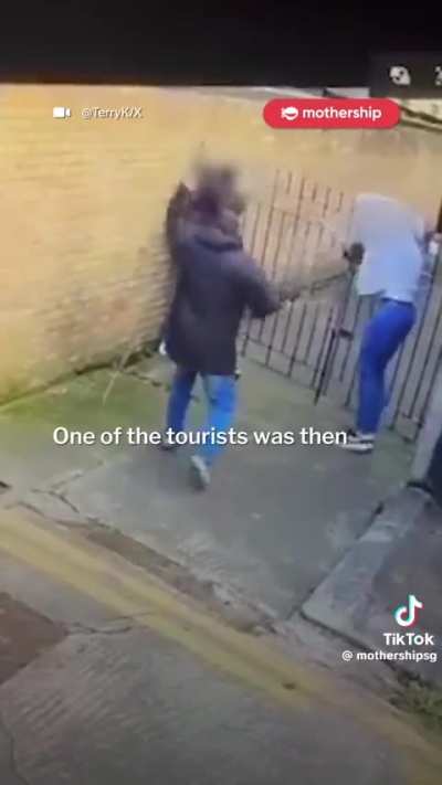 Horse carriage driver in Ireland whips US tourists over alleged unpaid fare.