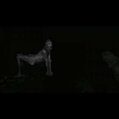 thug shaker ð¥µð¥µ