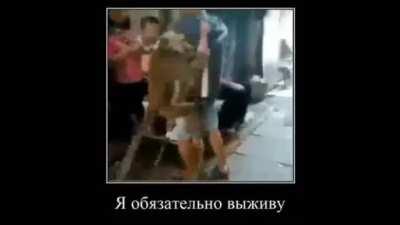 ooh ooh ah ah ahhhh???