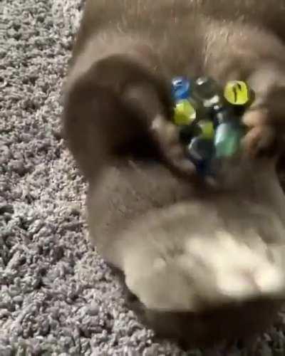 Too much excited 😌