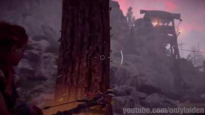 You also can see some colonies of leaf-cutting ants climbing up and down the trees in Horizon.