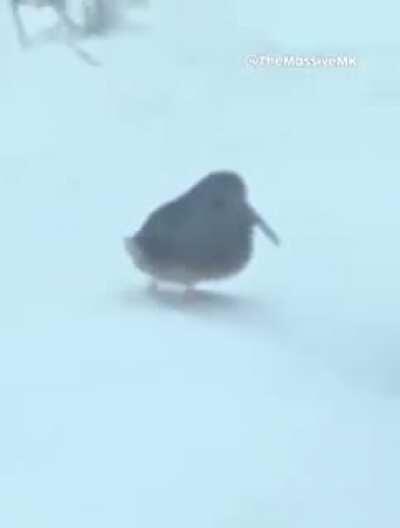 no es un meme otaku velo hasta el final (si soy yo de vuelta)