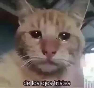 just thought i should ruin your day😁