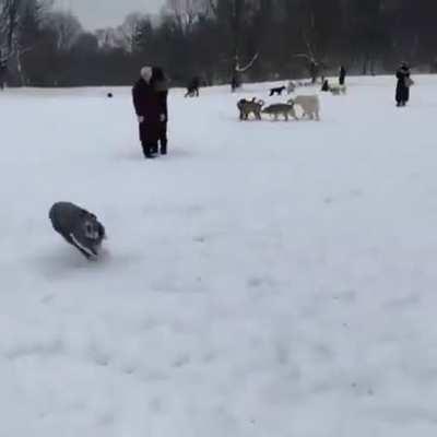 I'm fast as fuck boi