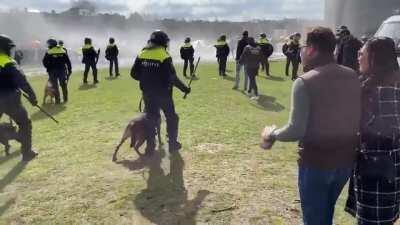 Just a scene from the new normal in Amsterdam today...