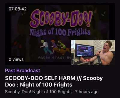 wordington twitch stream