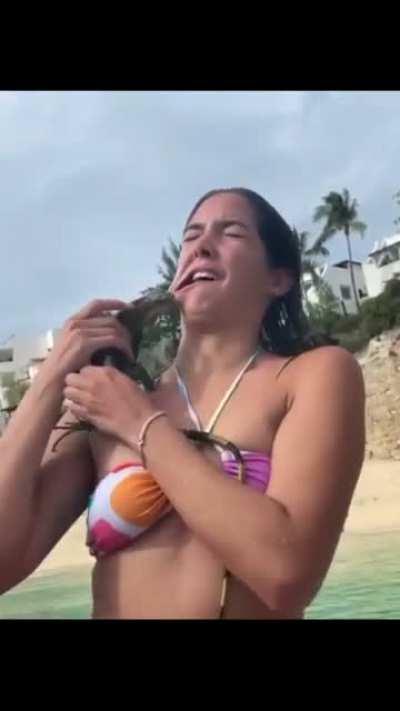 Using a reptile for your Instagram pic, WCGW?