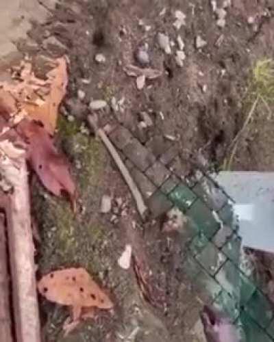 Don’t know if this has been posted already, (apologies if it has) thought it might be enjoyed here.