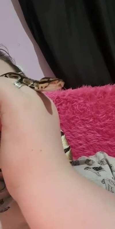 my toast doin a honk