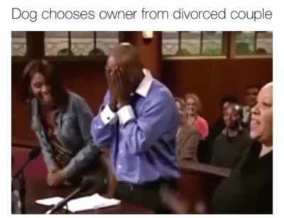 Dog reunited with owner in court.