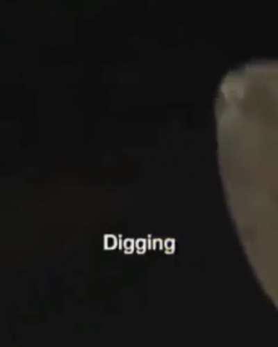 Never too early for my dudes