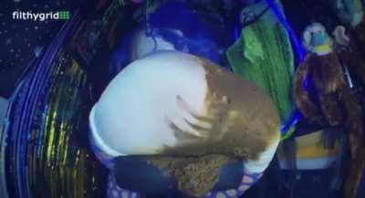 Don’t know what the seat did to her 💩