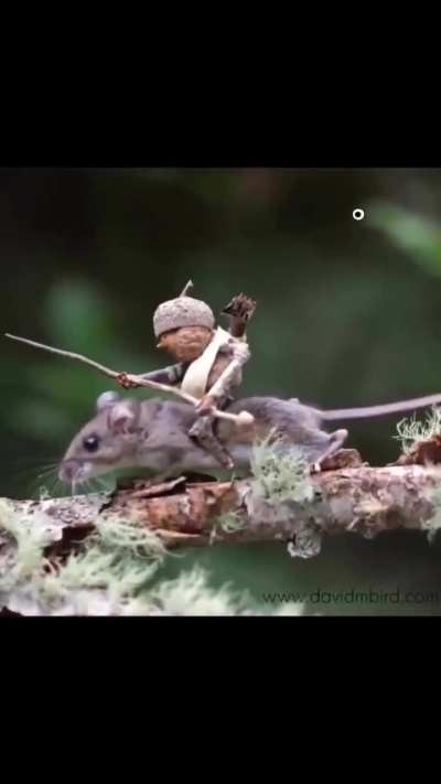 Art inspired by nature