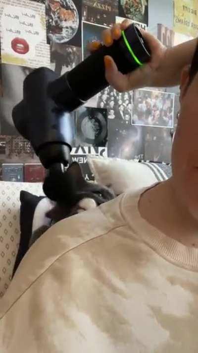 I bought this for myself but every time I turn it on he immediately insists it’s his turn lol