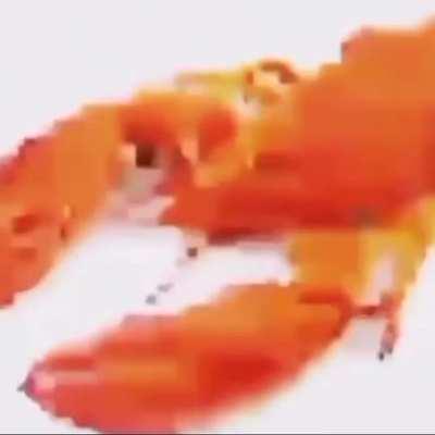 lobster 🦞