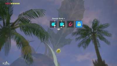I got my first Korok Seed, everyone! I hope the rest are this easy.