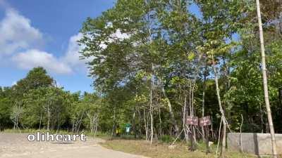 did you noticed I'm wearing a plug?