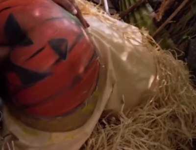 literally smashing my pumpkins who is next 🎃