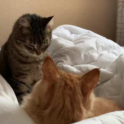 Unexpected punch, just in case