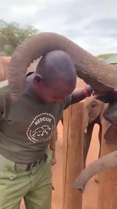 An elephant gives his keeper a hug and a kiss