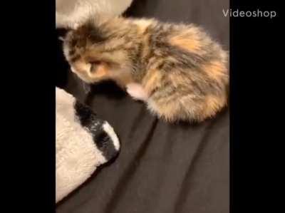 Heavy being overdramatic