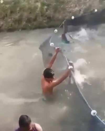 to catch fish? to be fish?