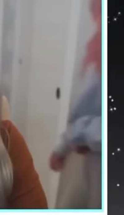 small clip of jodi's ass :]