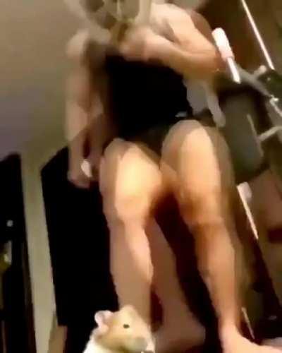 transmascs and transfems interacting be like: